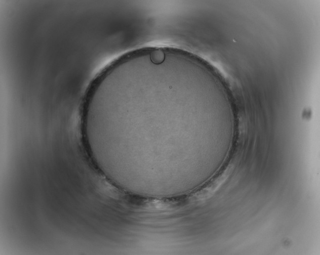 X0000103951311200809191431
