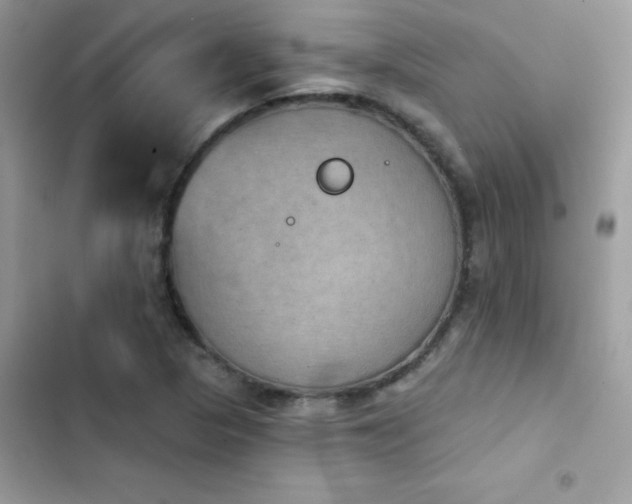 X0000103951313200809191431