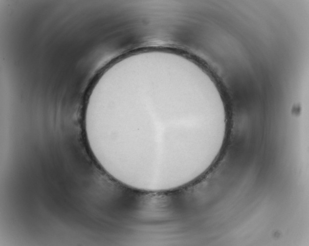 X0000103951314200809191431