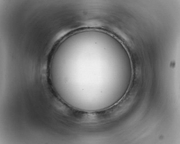 X0000103951315200809191431