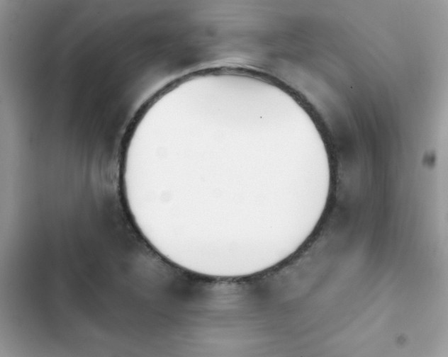 X0000103951316200809191431