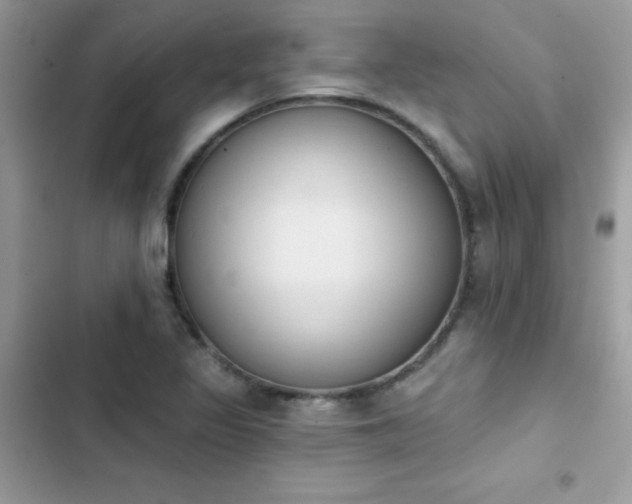 X0000103951317200809191431