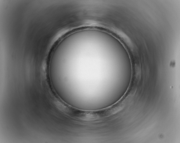 X0000103951318200809191431