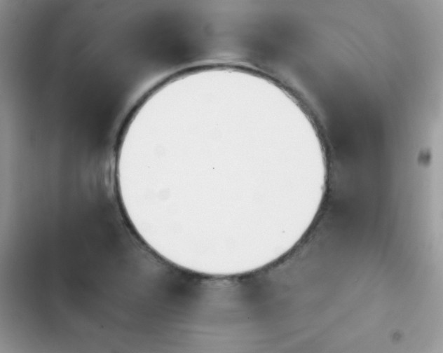 X0000103951320200809191431