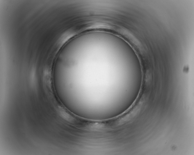 X0000103951321200809191431