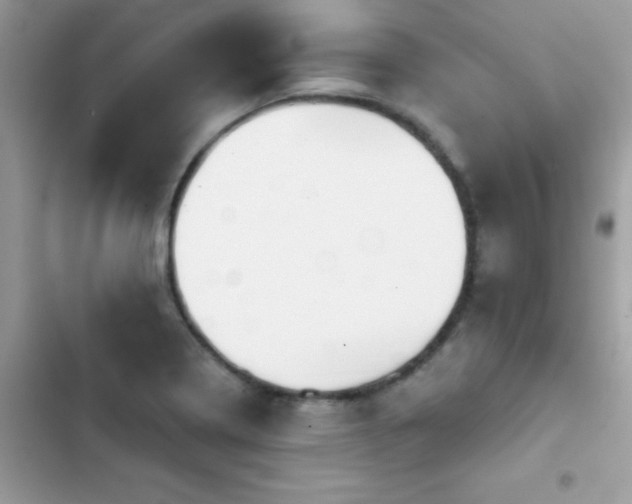 X0000103951322200809191431