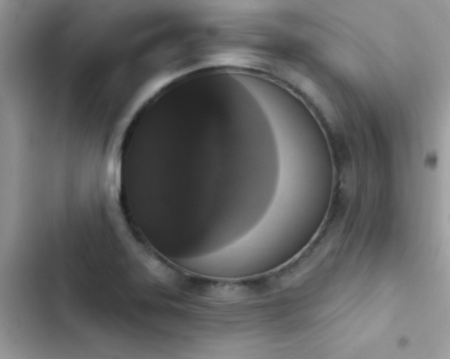 X0000103951323200809191431
