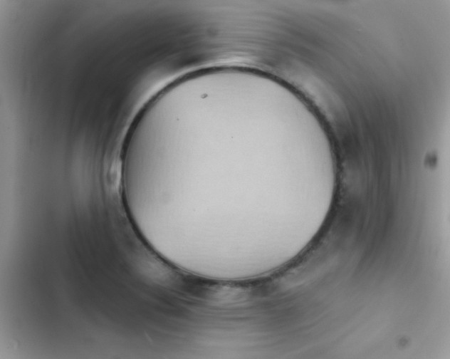 X0000103951324200809191431