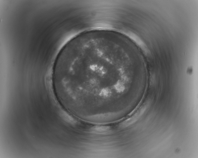 X0000103951325200809191431