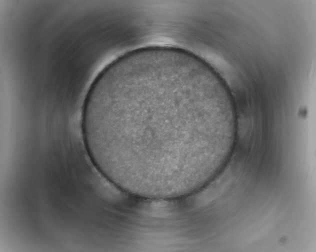 X0000103951326200809191431