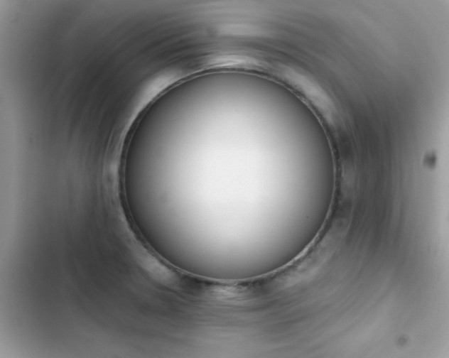 X0000103951330200809191432