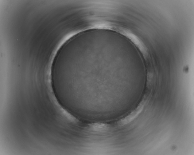 X0000103951331200809191432