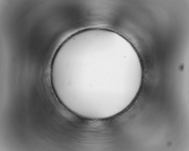 X0000103951332200809191432