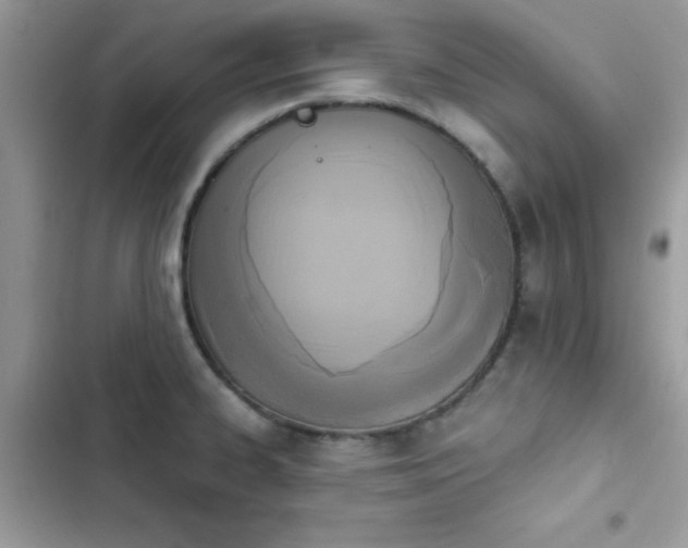 X0000103951334200809191432