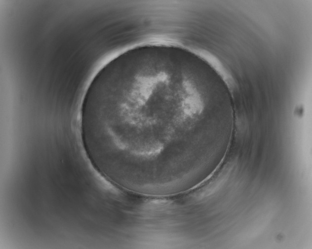 X0000103951335200809191432