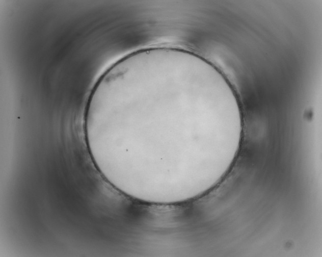 X0000103951336200809191432