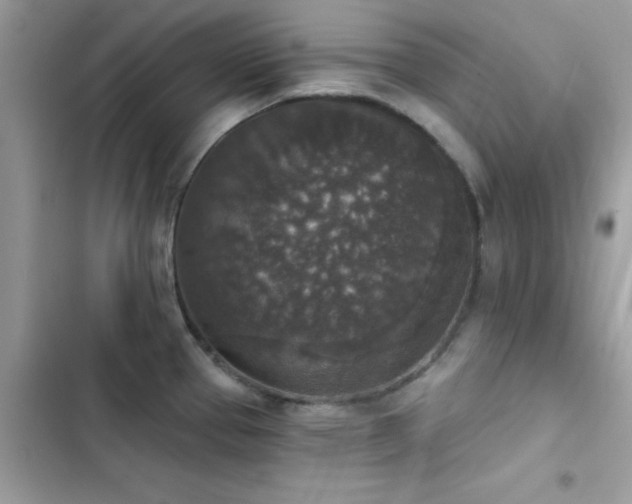 X0000103951337200809191432