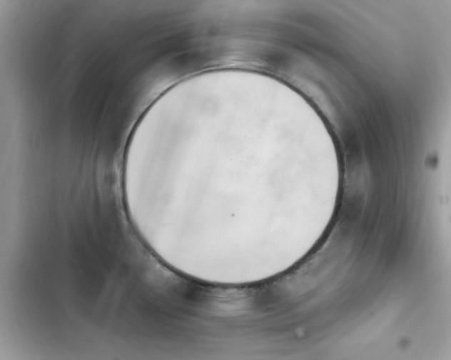 X0000103951338200809191432