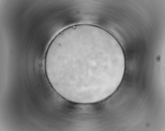 X0000103951340200809191432