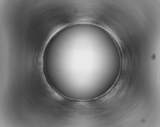 X0000103951341200809191432