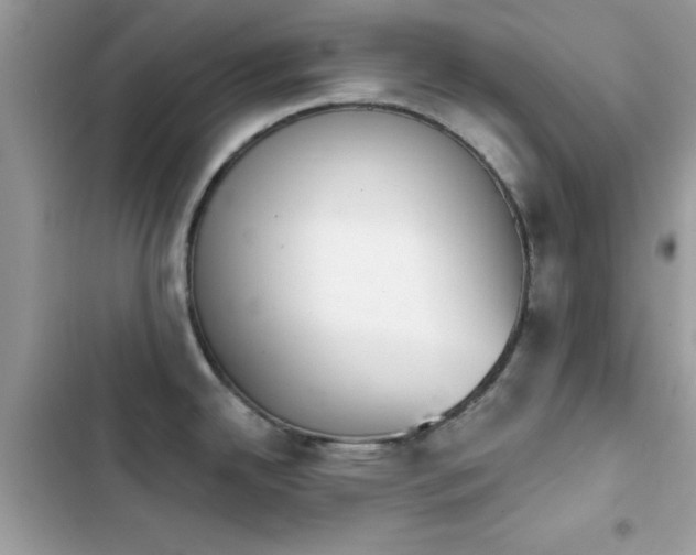X0000103951342200809191432