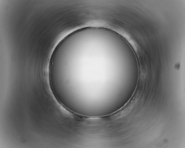 X0000103951343200809191432