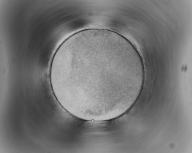 X0000103951344200809191432