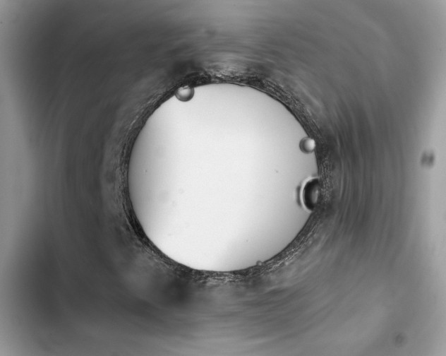 X0000103951345200809191431