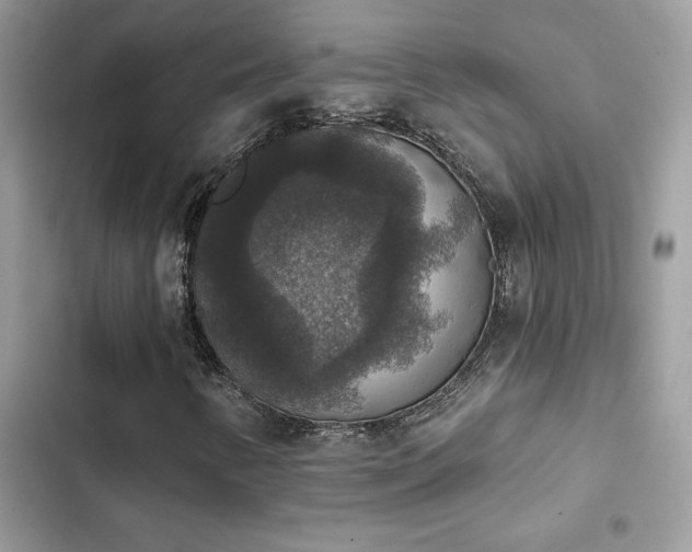 X0000103951346200809191431
