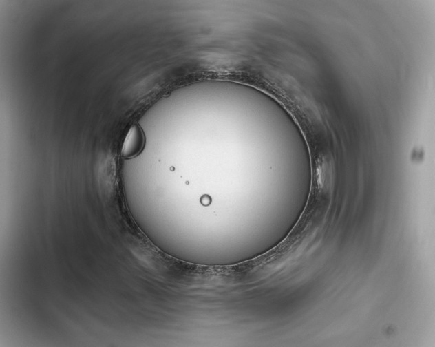 X0000103951347200809191431