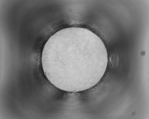X0000103951348200809191431