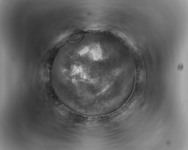 X0000103951350200809191431