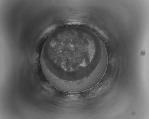 X0000103951351200809191431
