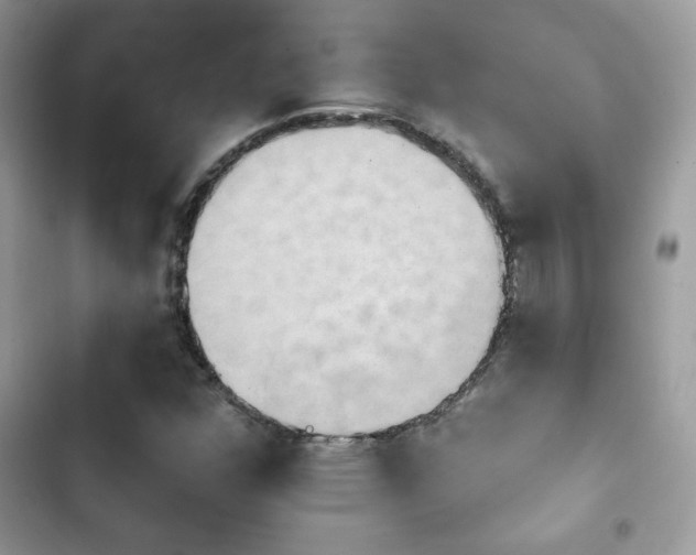 X0000103951352200809191431