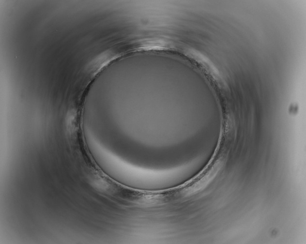 X0000103951353200809191431