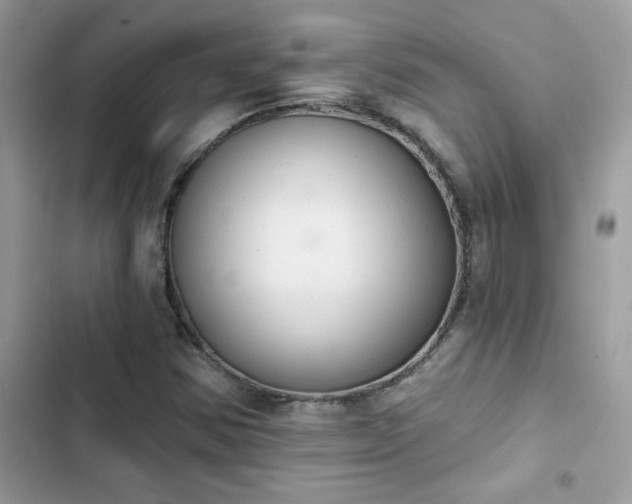 X0000103951354200809191431