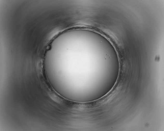 X0000103951355200809191431