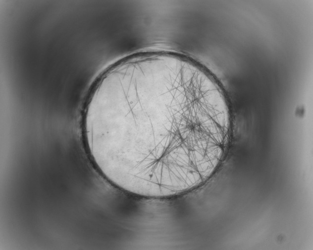 X0000103951356200809191431