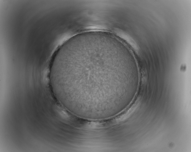 X0000103951357200809191431