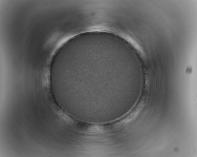 X0000103951358200809191431