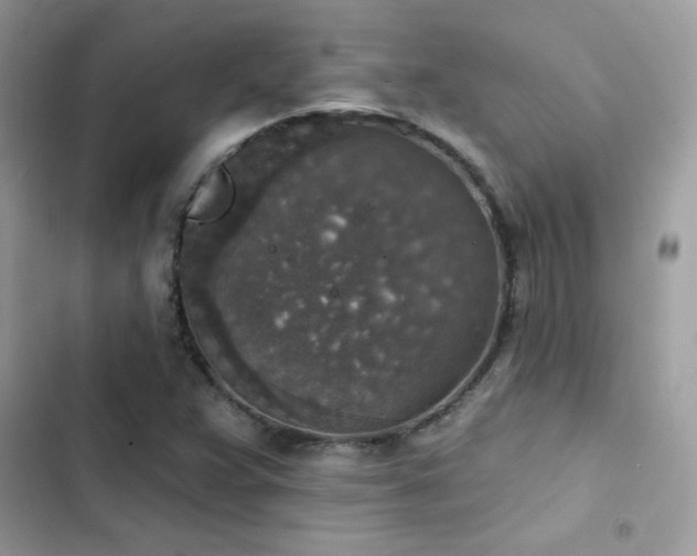 X0000103951359200809191431