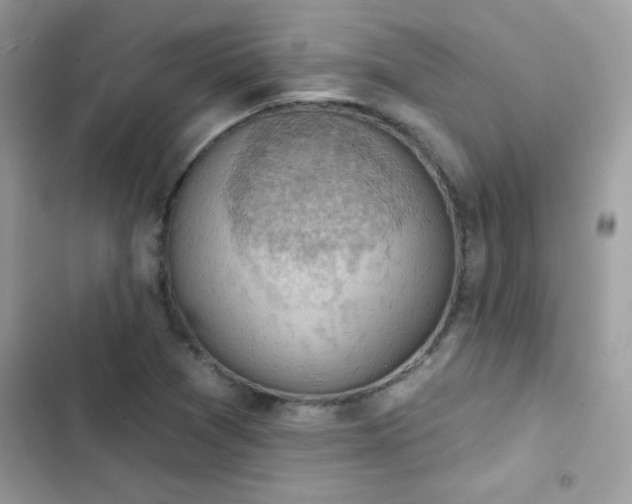 X0000103951361200809191431