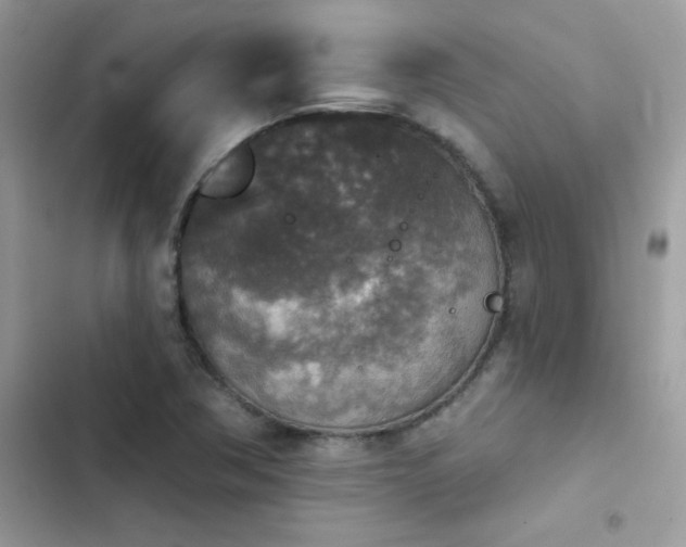 X0000103951362200809191431