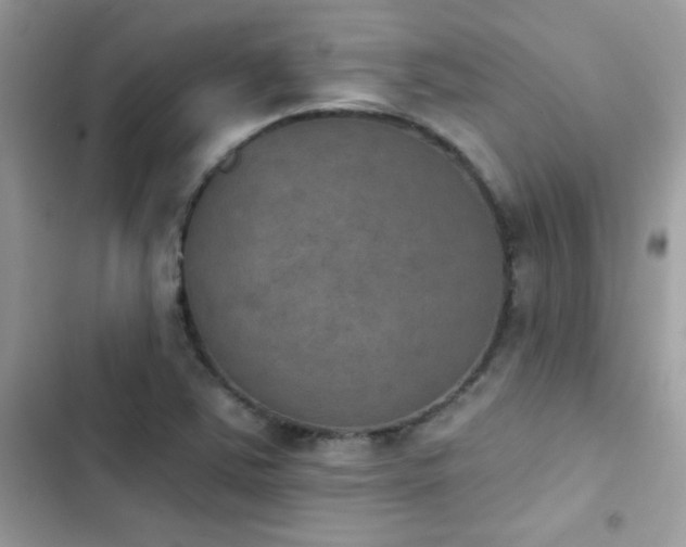 X0000103951363200809191431