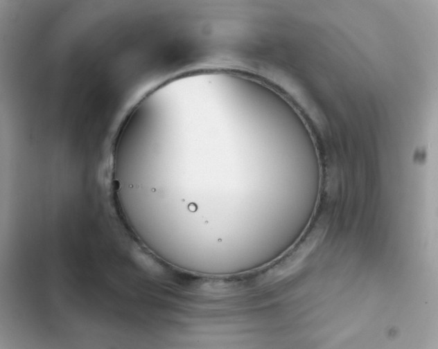 X0000103951366200809191431