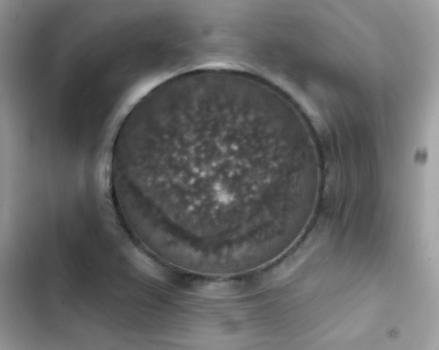 X0000103951367200809191431
