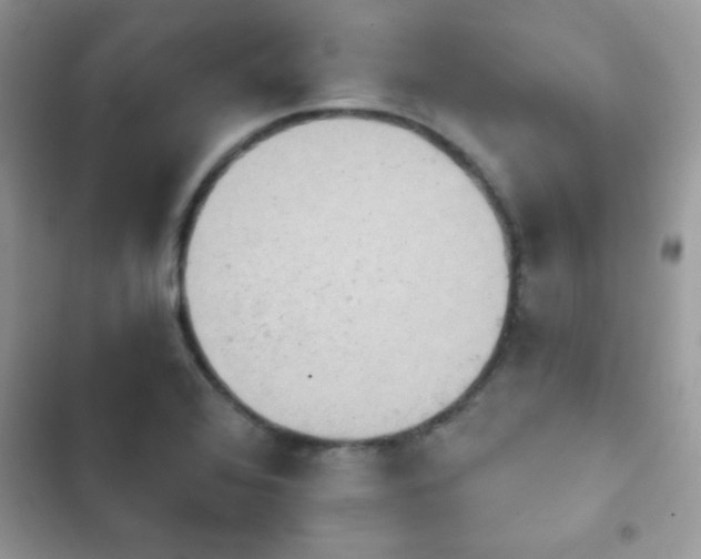 X0000103951368200809191431