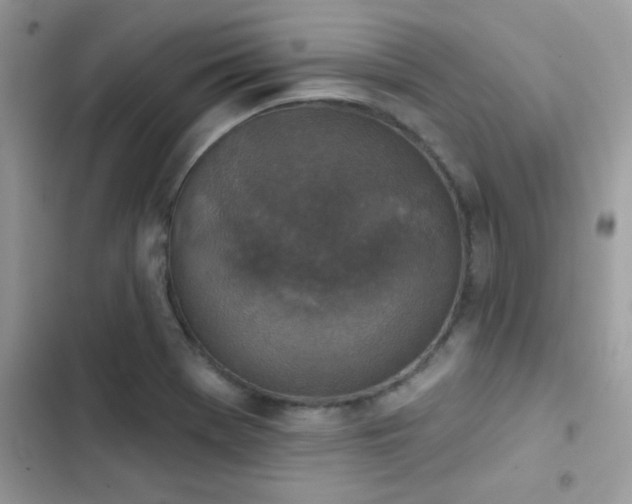 X0000103951369200809191431