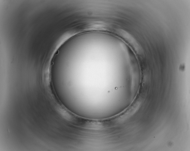 X0000103951370200809191431