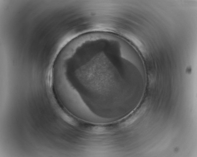 X0000103951371200809191431